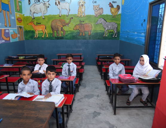 Shining Stars School System